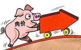 济南投放第二批次储备冻猪肉