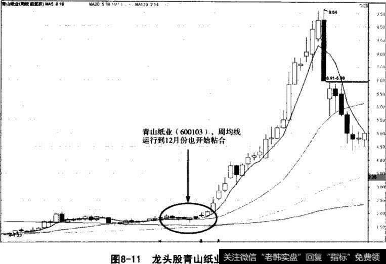 龙头股青山纸业周均线战法