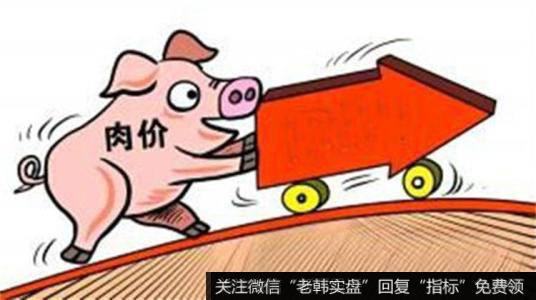 猪肉价格连续四周回落 降幅超20%