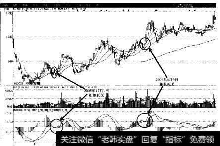 中海发展(600026)股市实例