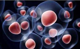 干细胞治疗新冠肺炎安全有效,干细胞题材概念股可关注