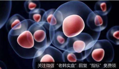 干细胞治疗新冠肺炎安全有效,干细胞题材<a href='/gainiangu/'>概念股</a>可关注