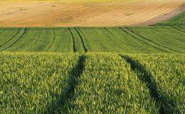 六部委发文鼓励农业产业联合体 农业概念股受关注