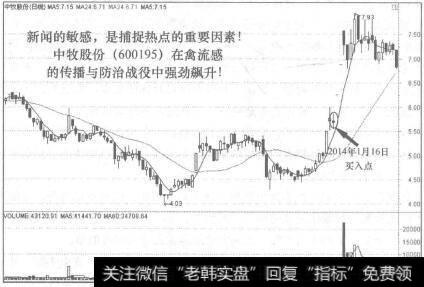 中牧股份(600195)走势图