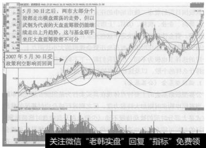 图4-5   武钢股份(600005) 2007年1月至2008年1月期间股价走势图