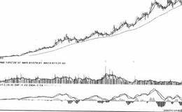 趋势循环顺势操作的技术分析