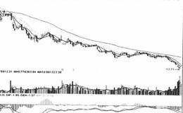交易趋势主导型操作法则的技术分析