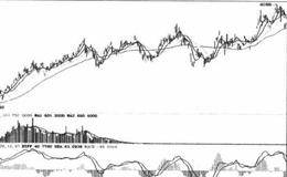 资本投资时代的到来时市场分工的结果的表述