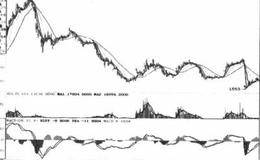 资本市场运行和管理规范的描述分析