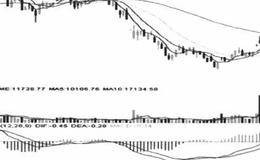 投资人状况的主要表现