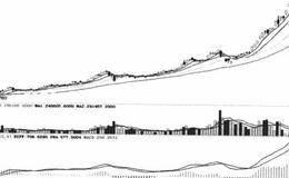 投资分析判断错误的原因分析解读