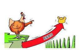 在筹划股指期货时，应注意处理好的问题