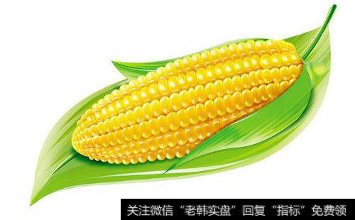 玉米制品低价股