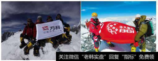 万科的王石登上了珠峰,华大基因的汪建也登上了