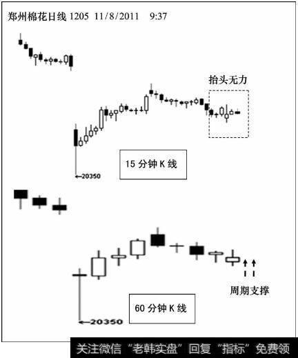 郑州棉花日内分时走势图