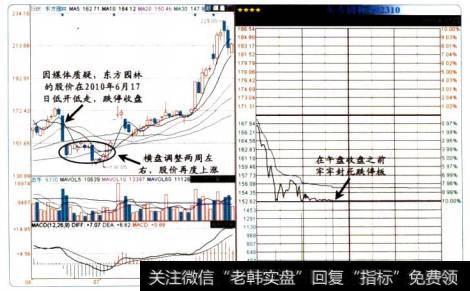 26-2不可抗力的跌停股图