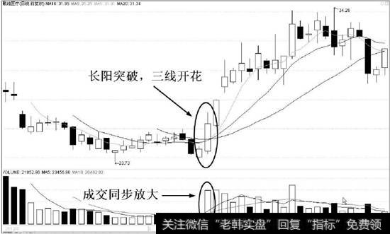 三线开花多头排列形态