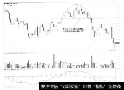 3-35青岛啤洒(Ⅰ) 600600