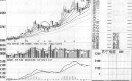地量阳K线实战规则的表述分析