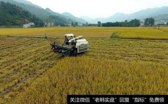 乡村振兴<a href='/gainiangu/'>概念股</a>