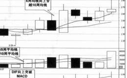 江恩的投资生涯介绍