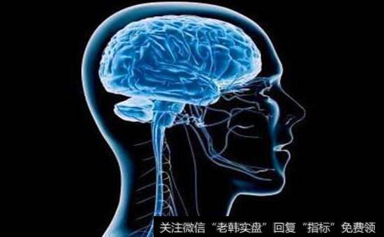 脑科学<a href='/gainiangu/'>概念股</a>