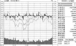 在大盘指数即时分时走势图中，投资者需要把握哪几点？