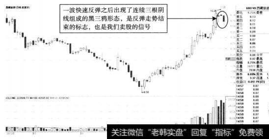 西盆旅游黑三鸦形态示意图