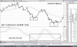 什么是日DMA双金叉观测器？