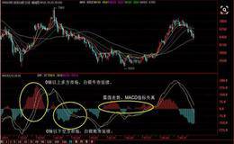 周MACD双金探测器要点是什么？