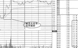 盘口解析第26招：解析吸货大买单的案例分析