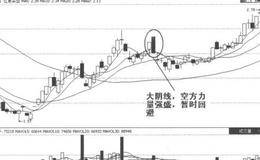  K线经典走势第3招：大阴线操作的案例解析