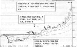 舒泰神(300204)的日K线走势图分析