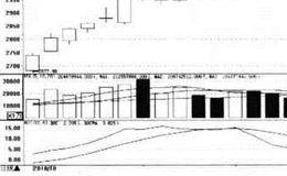 变动速率指标（ROC）买卖点的指标看点