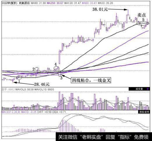 杭氧股份(002430)在2010年12月7日~2010年12月22日的30分钟K线图