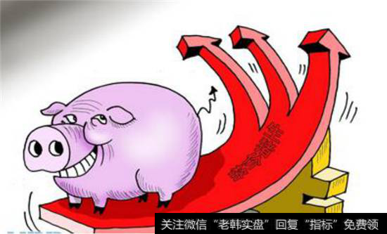 猪肉周期行情