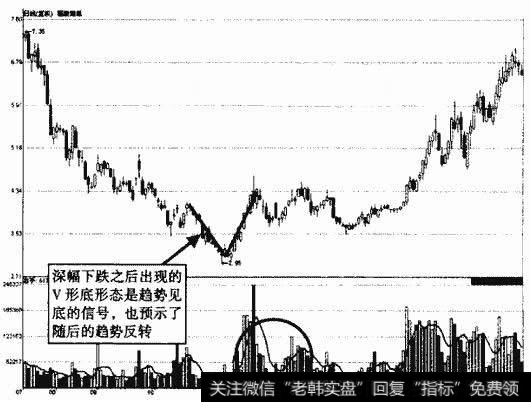 福建南纸V形底形态示意图