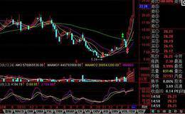 心态与技术的“双剑合璧”、技术应用的基石详解