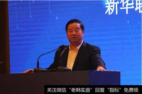 <a href='/xgyw/283538.html'>新华联</a>投资