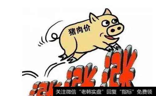 猪肉价格反弹