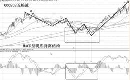 估值黄金坑需要从哪五个方面进行分析？