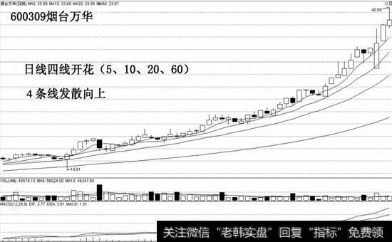 日线四线开花