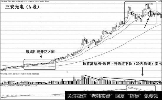 A段四线开花