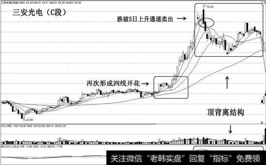 C段四线开花