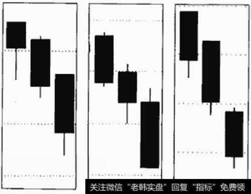 黑三鸦