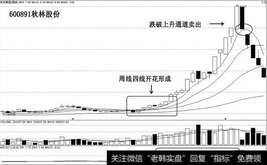 周线四线开花秋林股份