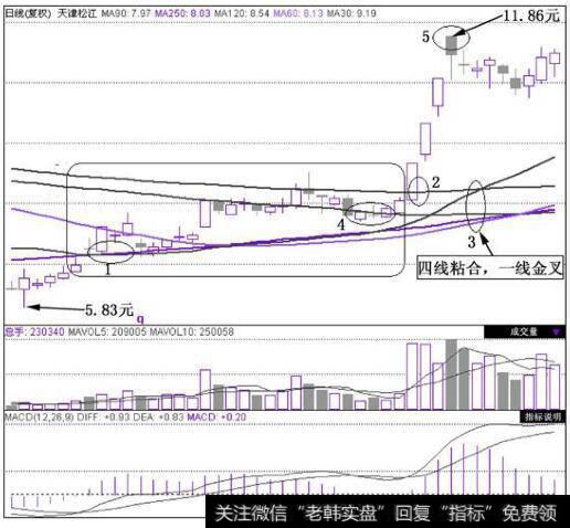 天津松江(600225)在2010年7月22日~2010年8月24日的日K线图