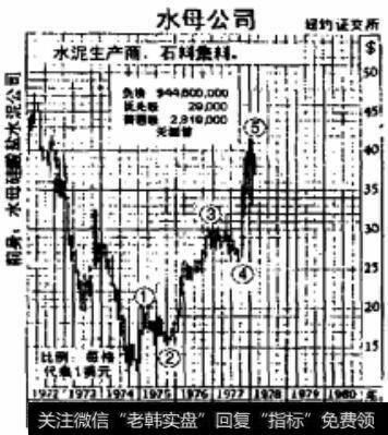 水母公司股票图