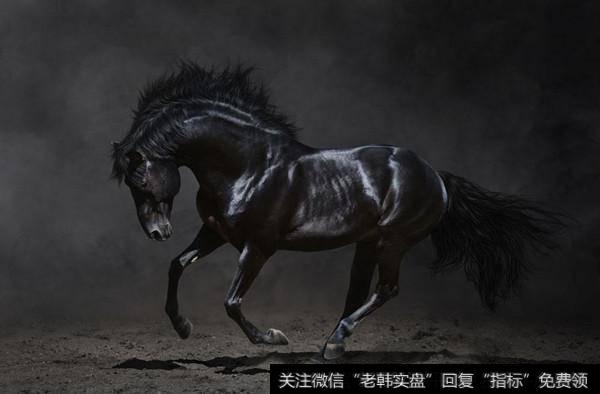 中线黑马的盘口特征