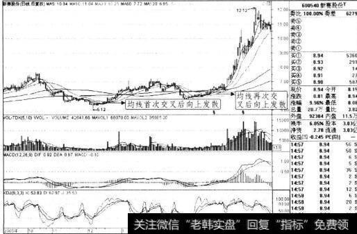 图3-19 新赛股份 2005年10月-2006年7月日线走势图